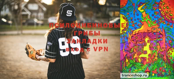 PSILOCYBIN Карталы
