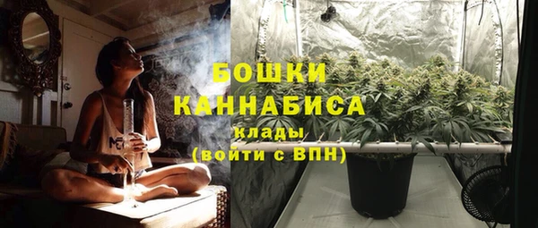 дурь Каменногорск
