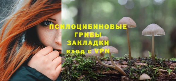 дурь Каменногорск