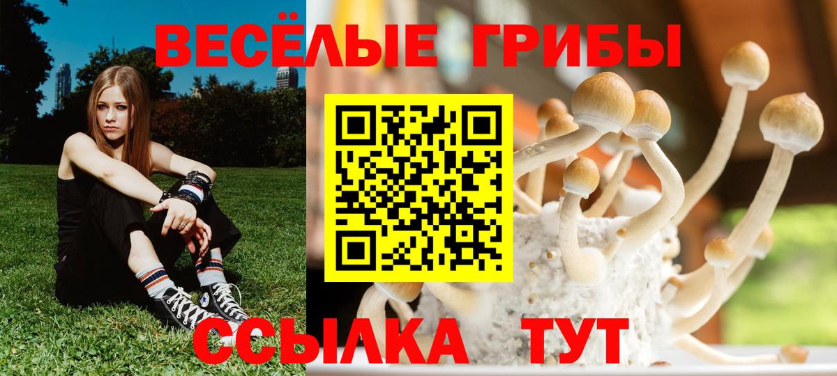 Муравленко  Галлюциногенные грибы GOLDEN TEACHER  Вход с VPN 